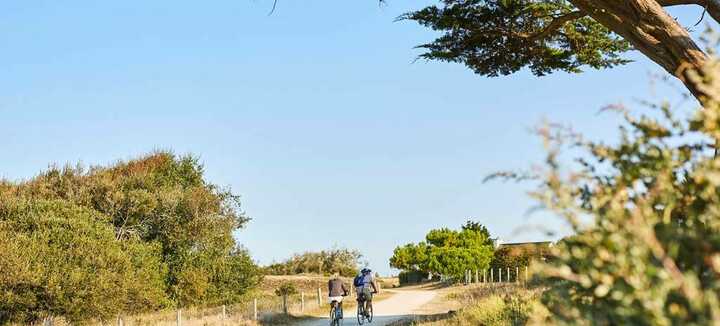 Circuito di mountain bike - Il sentiero dei 4 venti - Plouharnel Circuito di mountain bike - Il sentiero dei 4 venti - Plouharnel