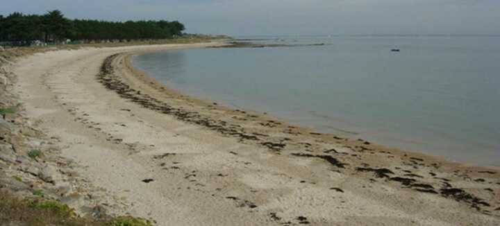 Plage du Conguel Plage du Conguel