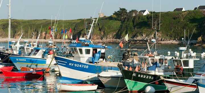 Port de plaisance Saint Gildas-Ile de Houat