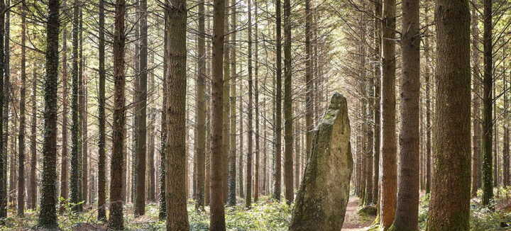 Menhir Men Bras Menhir Men Bras