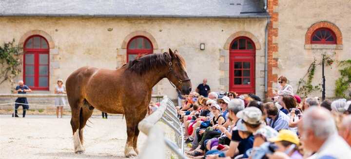 Haras National d'Hennebont Haras National d'Hennebont