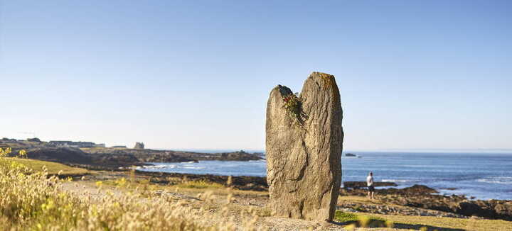 Menhirs de Beg Er Goh Lannec Menhirs de Beg Er Goh Lannec