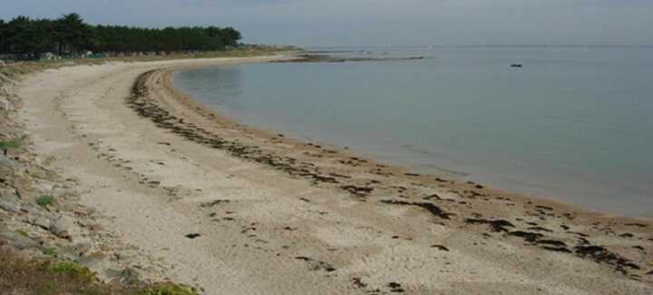 Plage du Conguel Plage du Conguel