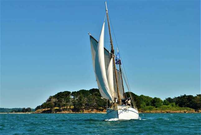 Boreale, les voiles oceane