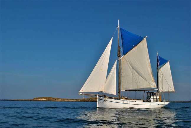 Boreale, les voiles oceane
