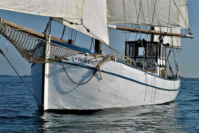 Boreale, les voiles oceane