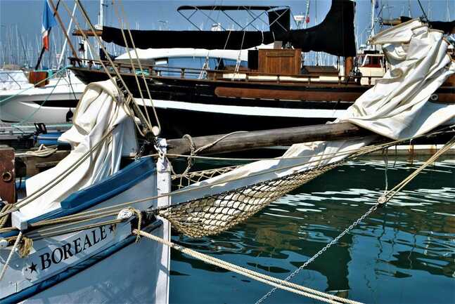 Boreale, les voiles oceane