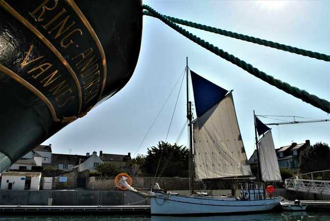 Boreale, les voiles oceane