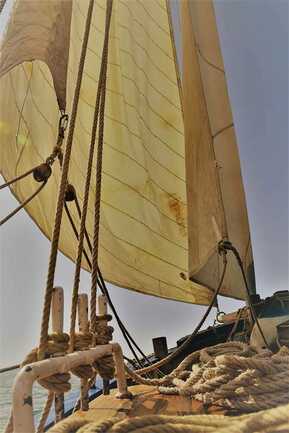 Boreale, les voiles oceane