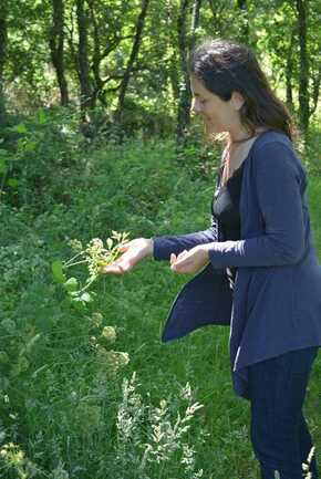 incroyables-chemins-guide-nature-ploemel-erdeven-plouharnel-carnac-morbihan-bretagne-sud