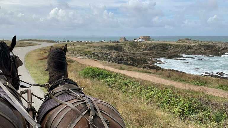 Attelage en Quiberon-Morbihan-Bretagne Sud