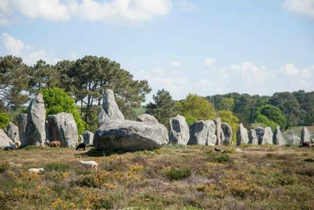 Carnac Visio Tour