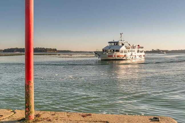 Vedettes-l'Angélus-Locmariaquer-Morbihan-Bretagne-Sud-01