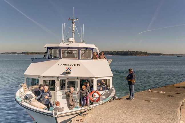 Vedettes-l'Angélus-Locmariaquer-Morbihan-Bretagne-Sud-11