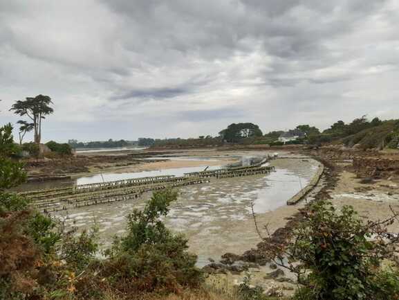 tel_quelque chose en nous de poésie_les chantiers ostréicoles du Sach