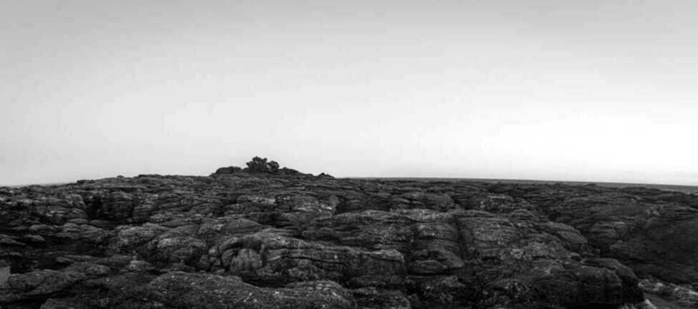 colin-du-mont--10-
