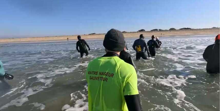 Brech-Activités Aquatiques Pays d'Auray-Longe côte