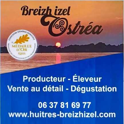 Vente et dégustations d'huitres - Locmariaquer