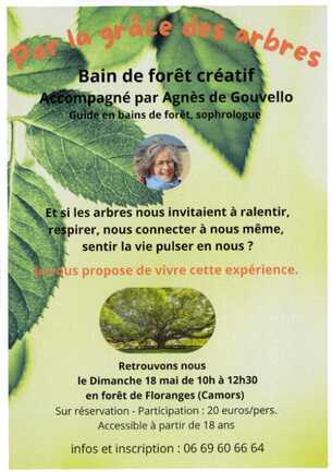 Par la grâce des arbres 