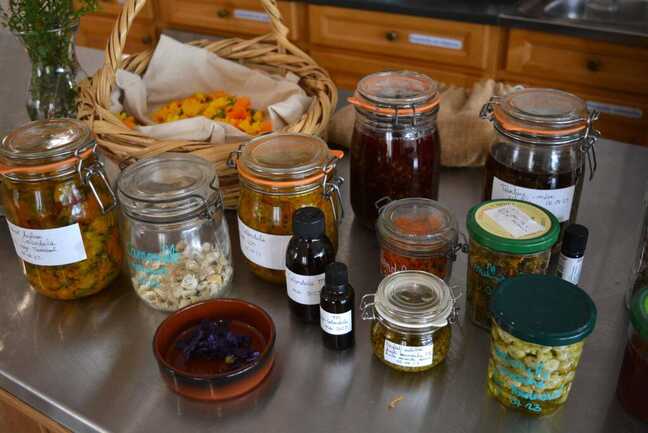 incroyables-chemins-ateliers-plantes-sauvages-medicinales-baume-teinture-mere-huile-maceration