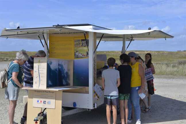Dunes sauvages Dunes sauvages