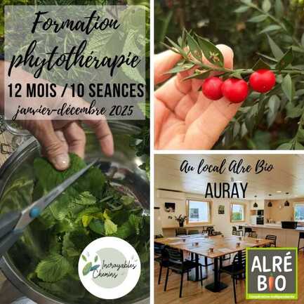 Formation phytothérapie 12 mois - 10 séances à Auray