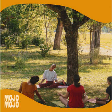 CMP06_Mojo Mojo_3_FR