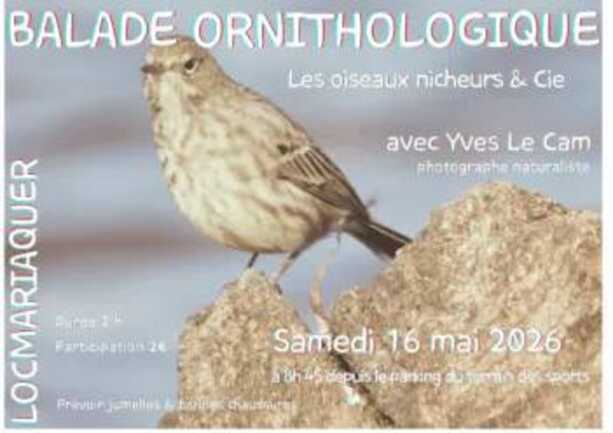 balade ornitho loc 16 mai