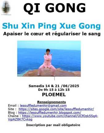 Stage de Qi Gong Shu Xin Ping Cue Gong (cœur)