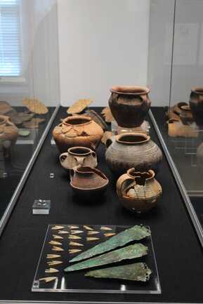Exposition Campaniforme