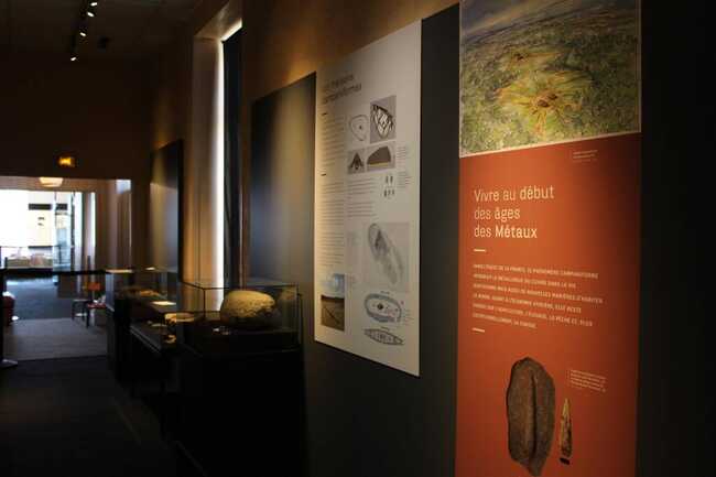 Exposition Campaniforme