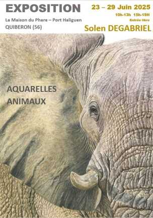 25.06.23 Solen DEGABRIEL - Aquarelles animaux