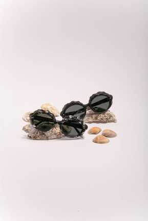 ISTR-duo-coquillage