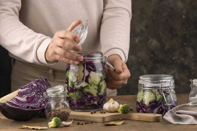 lacto fermentation