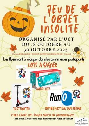 affiche jeu de l'objet insolite Trini'kids 2025