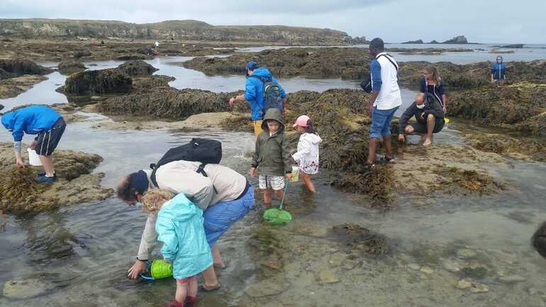 Trésor_de_locéan_à_marrée_basse