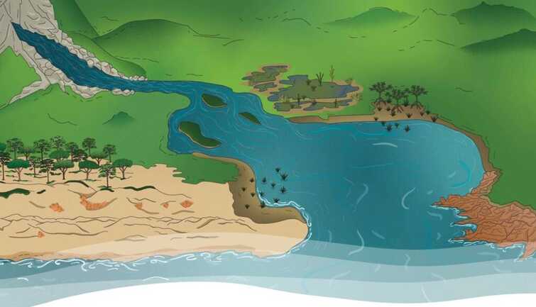 7. Fresque littoral