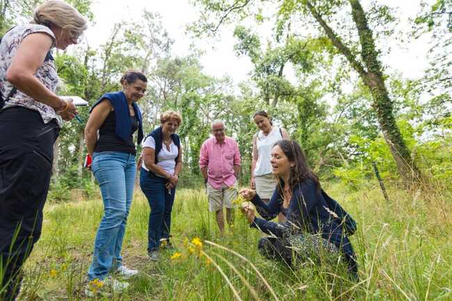 incroyables chemins sortie botanique formatino atelier plantes medicinales CREDITPHOTO marjorie hodiesne  (2)