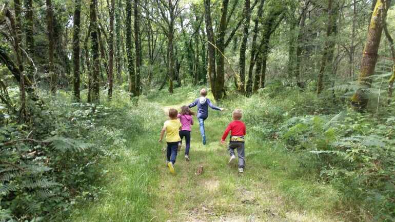 Enfants qui courent dans la forêt