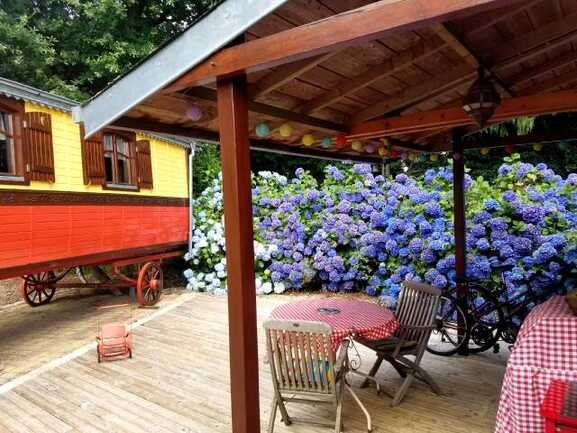 Terrasse semi-ombragée équipée d'une plancha.