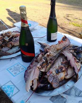 Camping St Cado - Morbihan - Bretagne Sud
