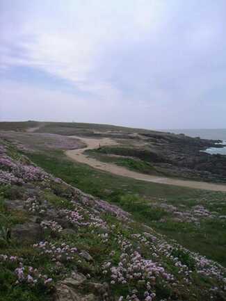 CampingdeKernéQuiberon3