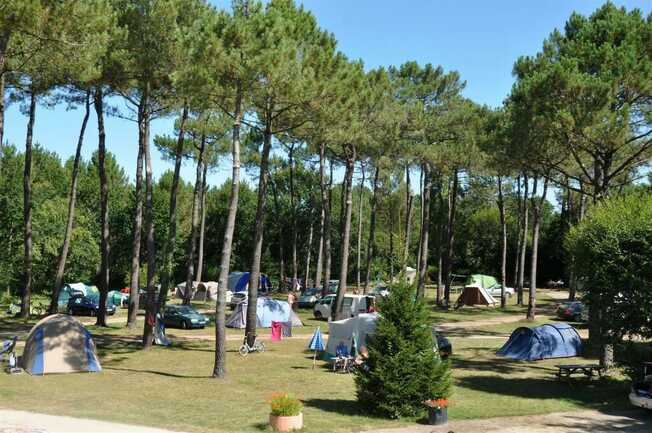 Belz Camping Naturiste CNBS la Pinède Emplacements Clairière