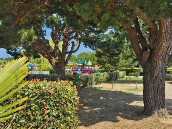 CP-Les-palmiers-emplacement-Eden