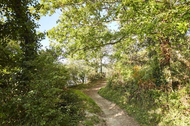 sentier-sainte-avoye-pluneret_792x528