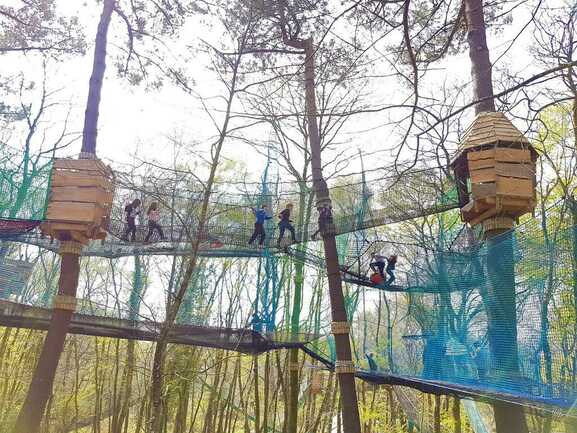 land aux lutins un labyrinthe dans les arbres