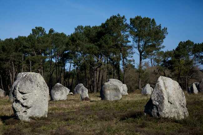 Vue-menhirs-Petit-train-touristique-Carnac-Morbihan-Bretagne-Sud