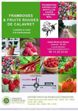 framboise-calavret-locoal-mendon-morbihan-bretagne-sud