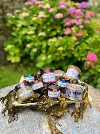 les+viviers+de+locker+panier+terrines+(1)