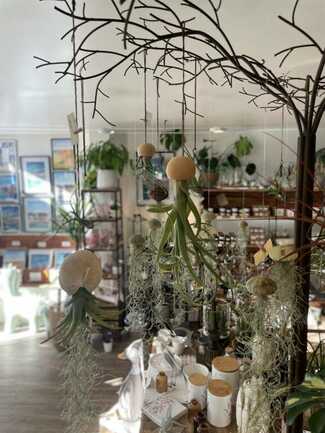 AURAY_OXALIS-BOUTIK_TILLANDSIA(1)